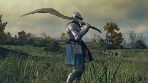 【画像】エルデンリングやってると思うことｗｗｗｗｗｗｗｗｗｗ