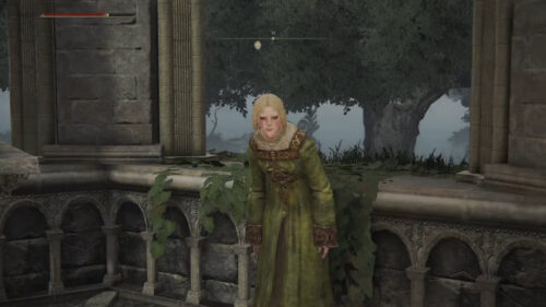 【画像】このラーヤかわいいｗｗｗｗ