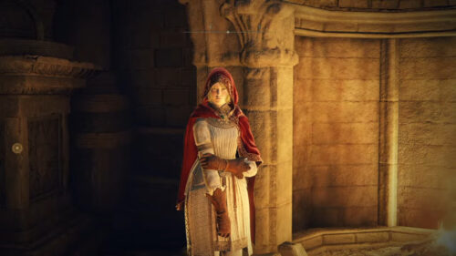 【悲報】神肌のふたり倒すところで初めてこの機能知ったんだがｗｗｗ