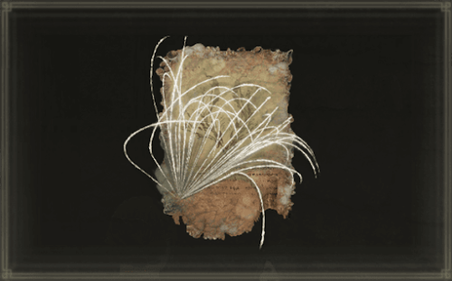 【質問】蟲糸ってもしかして時限？