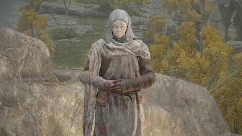 【キャラ】ヴァレーの台詞、汎用性が高いｗｗ