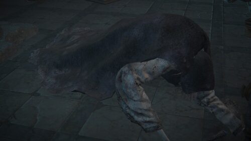 【疑問】ピディがセルブスを操ってたのは間違いなと思われる⇐セルブスって傀儡なんだろうか？？？