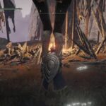 【画像】顔面が...毛むくじゃら？！