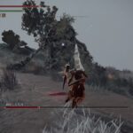 【悲報】エリアボス戦闘中に白霊を追加召喚すると、ボスが回復するの？