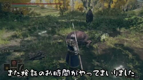 【検証】身隠しのヴェール発動した状態で、冒涜の聖剣やミエロスの剣を装備してHP･FPを回復した場合、そのエフェクトは見えるのか？